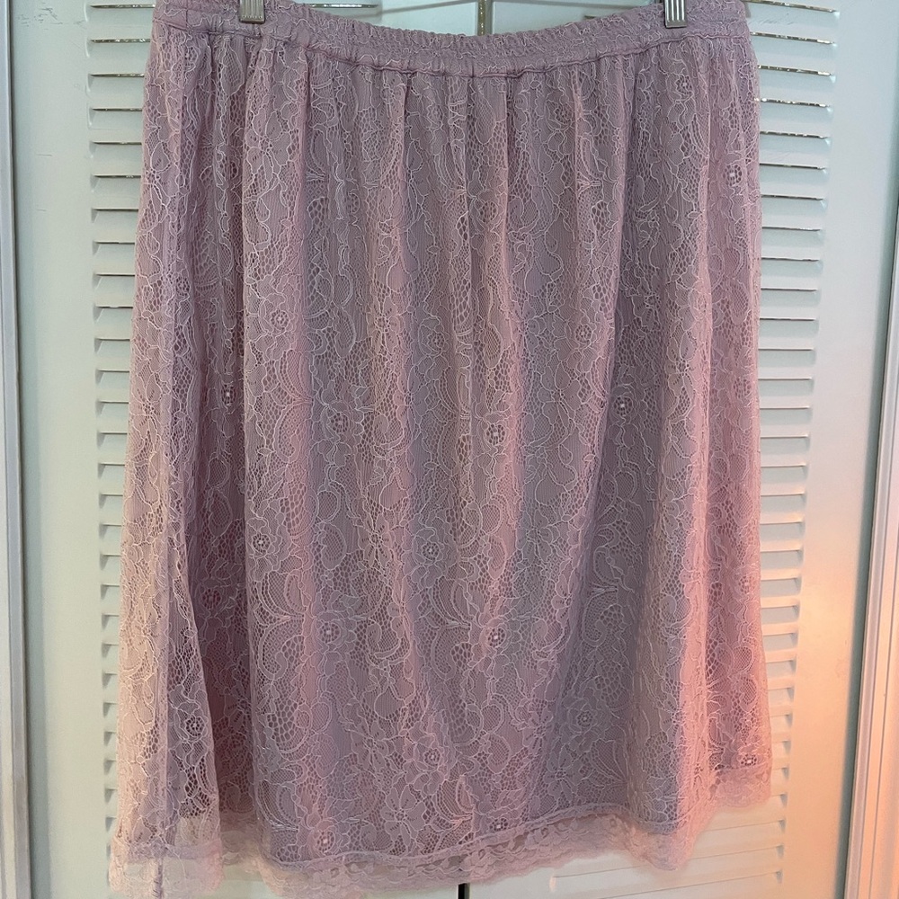 LOFT Delicate Lace Skirt in Soft Pink